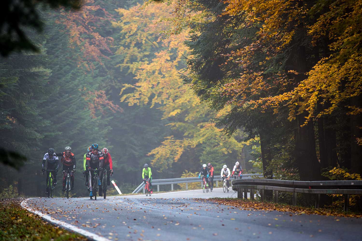 Group of cyclists riding during the fall