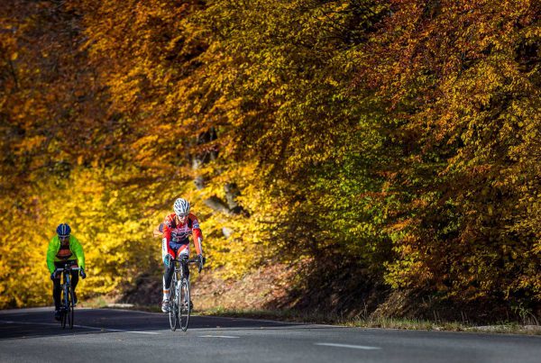 Cycling with cold